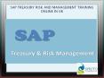 SAP TREASURY RISK AND MANAGEMENT TRAINING ONLINE IN UK PowerPoint PPT Presentation