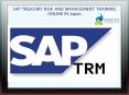 SAP TREASURY RISK AND MANAGEMENT TRAINING ONLINE IN Japan PowerPoint PPT Presentation