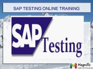 SAP Testing online training in Malaysia