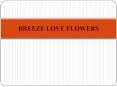 Flower Delivery in Abu Dhabi,Local Flower Shop, Send Flowers Online through Breezelove flowers