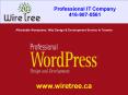 Affordable Wordpress, Web Design and Development Service in Toronto | WireTree PowerPoint PPT Presentation
