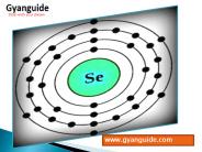 selenium training institute in bangalore