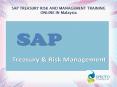 SAP TREASURY RISK AND MANAGEMENT TRAINING ONLINE IN Malaysia PowerPoint PPT Presentation