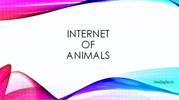 Internet of Animals