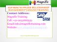SAP SRM ONLINE TRAINING IN MALAYSIA|DUBAI|GERMANY PowerPoint PPT Presentation