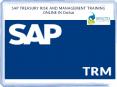 SAP TREASURY RISK AND MANAGEMENT TRAINING ONLINE IN DUBAI PowerPoint PPT Presentation