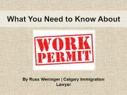 What You Need to Know About Work Permit