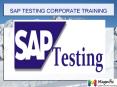 SAP TESTING corporate training in Pune PowerPoint PPT Presentation