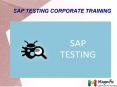 SAP TESTING corporate training in Mumbai PowerPoint PPT Presentation