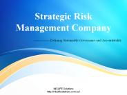 Strategic Risk Management Company - MiSAFE Solutions