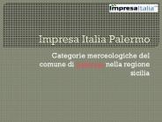 Impresa Italia Palermo