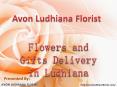 Send Flower to Ludhiana PowerPoint PPT Presentation