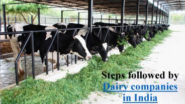 Everything about  dairy companies in india