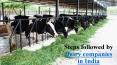 Everything about  dairy companies in india PowerPoint PPT Presentation