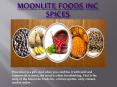 MoonLite Foods Inc and Spices PowerPoint PPT Presentation