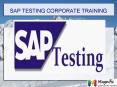 SAP TESTING corporate training in Pune PowerPoint PPT Presentation