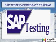 SAP TESTING corporate training in Pune