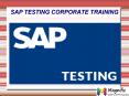 SAP TESTING corporate training in Kolkata PowerPoint PPT Presentation