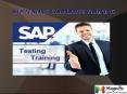 SAP TESTING corporate training in Chennai PowerPoint PPT Presentation