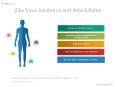Zika Virus Incidence and Attack Rates PowerPoint PPT Presentation