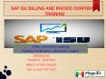 SAP ISU BILLING&INVOICE ONLINE TRAINING IN KOLKATA|MUMBAI|DELHI