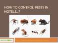 How to Control Pests in Hotels? PowerPoint PPT Presentation