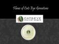 Flaws of Cat’s Eye Gemstone PowerPoint PPT Presentation