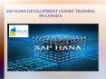 sap hana developement online training in canada PowerPoint PPT Presentation