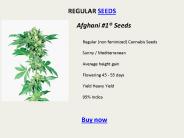 REGULAR SEEDS