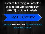 Distance Learning BMLT Course in UP