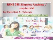 BSHS 385  Slingshot Academy - snaptutorial.com