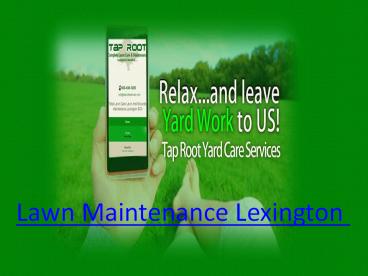 Lawn Maintenance Lexington