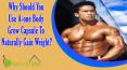 Why Should You Use A-one Body Grow Capsule To Naturally Gain Weight And Muscle Mass? PowerPoint PPT Presentation