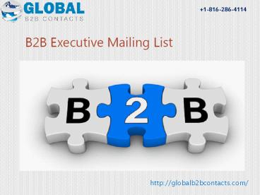 B2B executive email lists