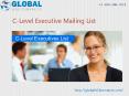 C level executive email lists PowerPoint PPT Presentation
