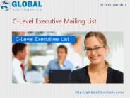 C level executive email lists