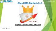 Belgium Email Database