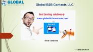 Israel Business Email Database