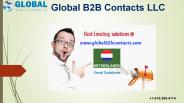 Netherlands business email database