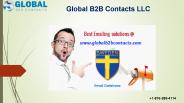 Sweden Business Email Database