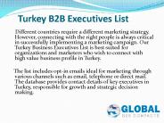Turkey Business Email Database