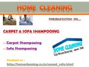 Carpet shampooing and sofa shampooing.