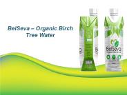Birch Tree Water in Tetra Pack | BelSeva