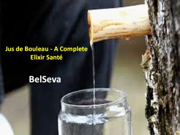 Jus de Bouleau - A Complete Elixir Santé