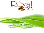 aloe vera juice benefits