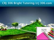CRJ 306 Bright Tutoring/crj 306.com