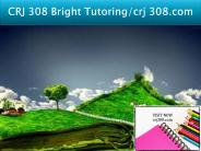 CRJ 308 Bright Tutoring/crj 308.com