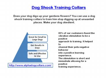 dog shock training collars