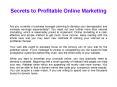 Secrets to Profitable Online Marketing PowerPoint PPT Presentation