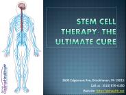 Stem Cell Therapy- The Ultimate Cure